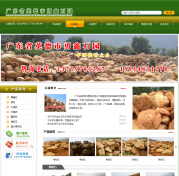 清远营销型网站建设公司哪家好