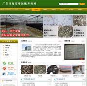 清远营销型网站建设公司哪家好