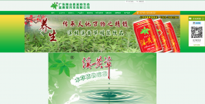 清远营销型网站建设公司哪家好
